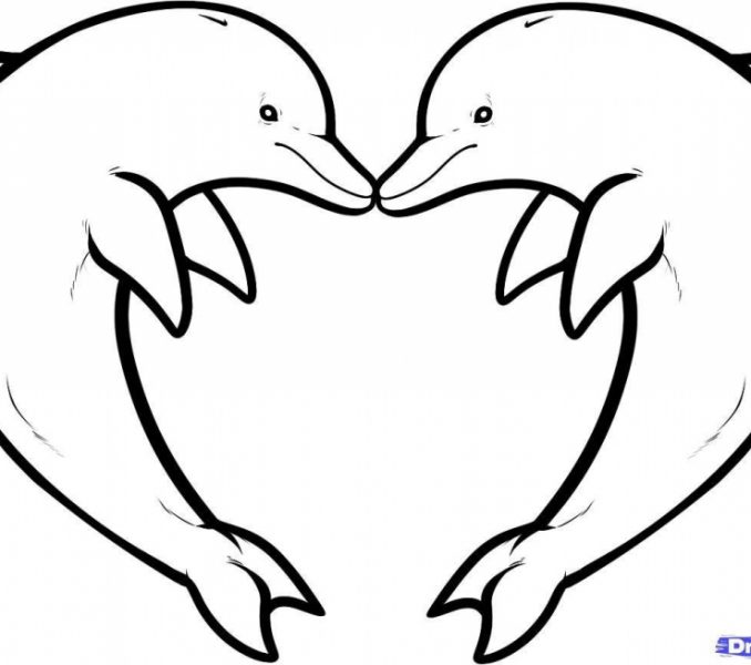 678x600 Pictures Pictures Of Easy Drawings For Kid,