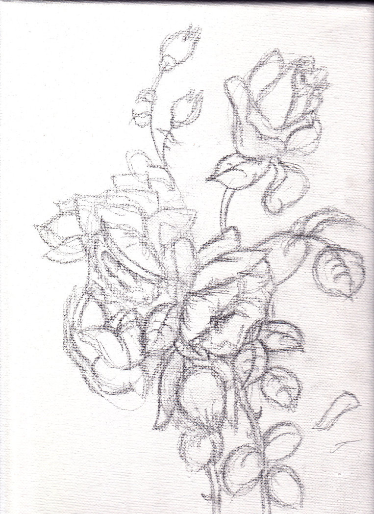 763x1048 Flowers Pencil Sketch By Phantomavenwarrior