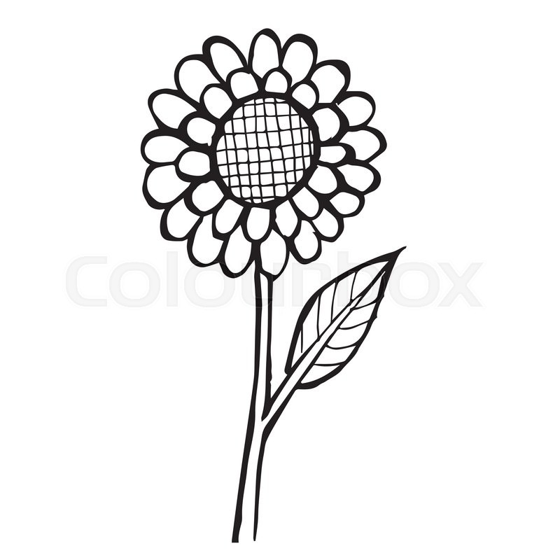 800x800 Freehand Sketch Illustration Of Flower Doodle Hand Drawn In Kid