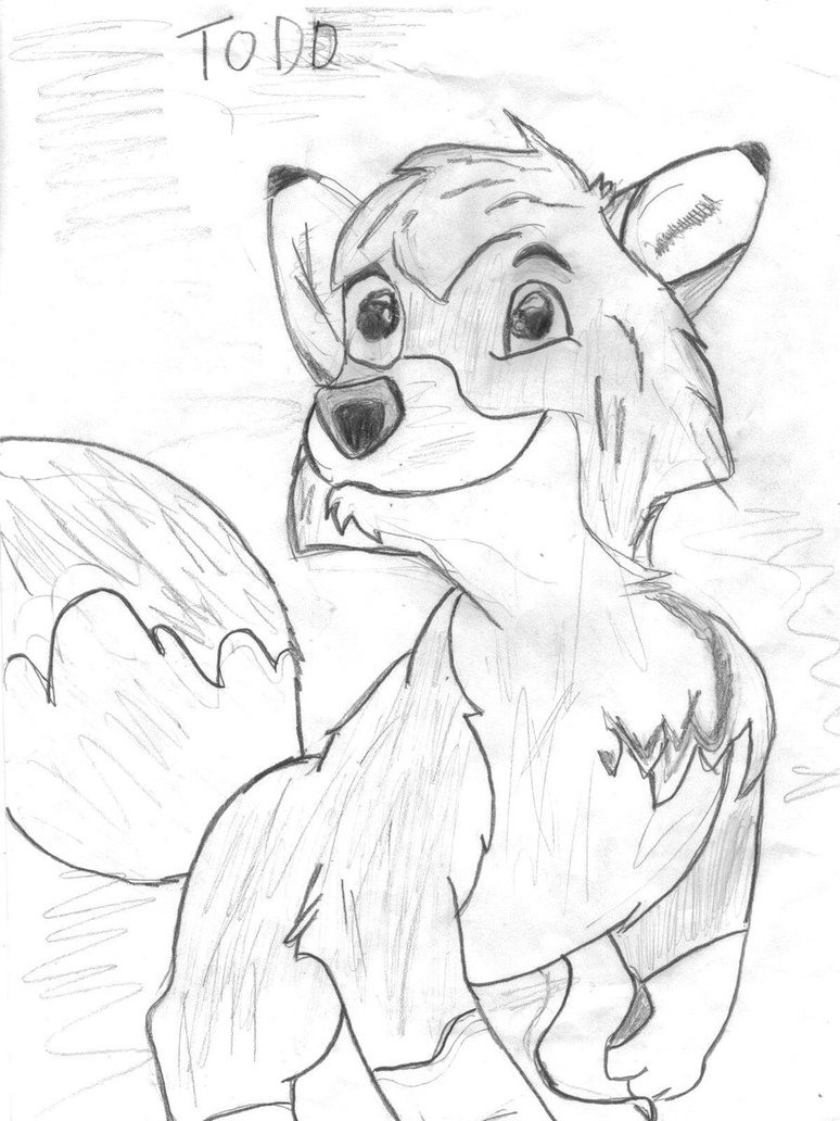 774x1032 Free Hand Drawing,todd,fox By Youngcubsimba