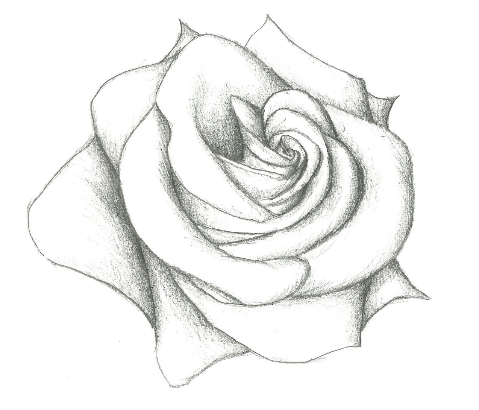 1600x1370 Gallery Easy Pencil Shading Drawings Of Rose,