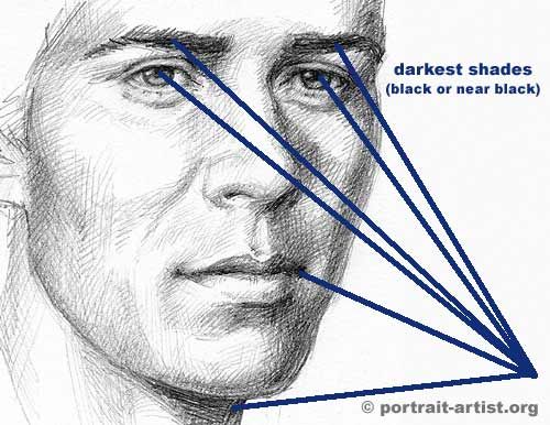 500x386 Shading Explained Learn To Draw Draw, Tutorials