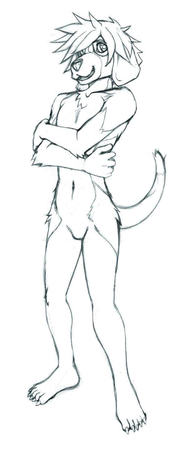 600x1481 How To Sketch A Dog How To Draw A Dog Furry