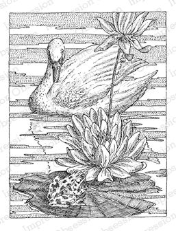 257x336 Coloring For Adults