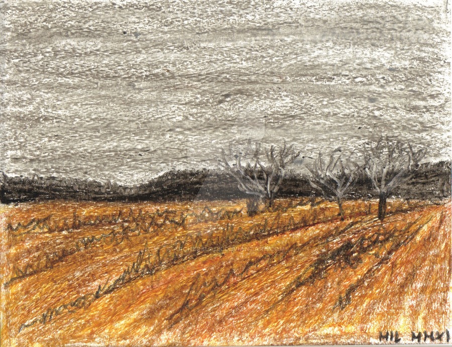 900x692 My First Impression Drawing By Archerblack