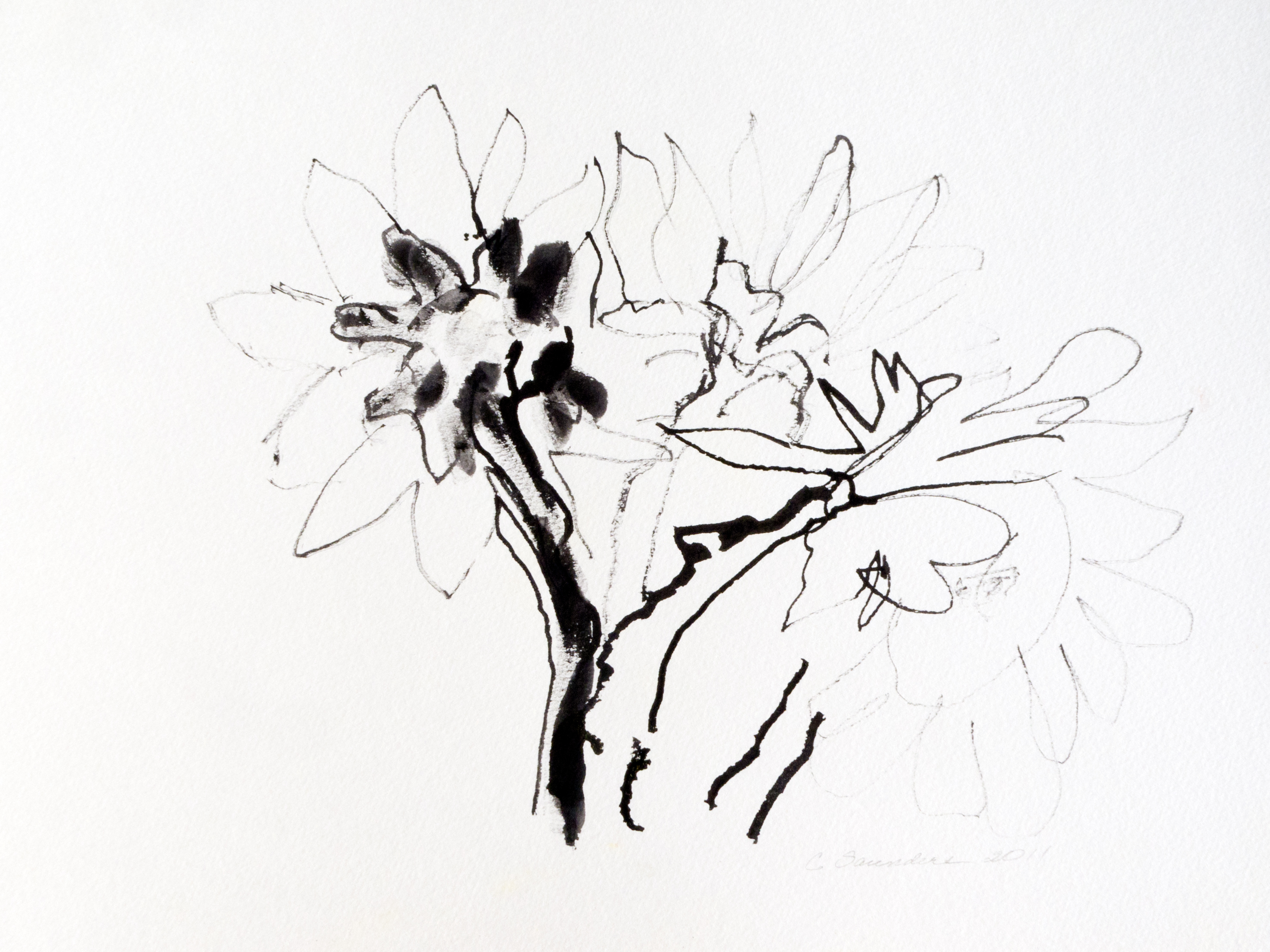 2950x2212 India Ink And Stick Carla's Blog