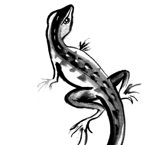 500x500 Kapala Works Indian Ink Drawing