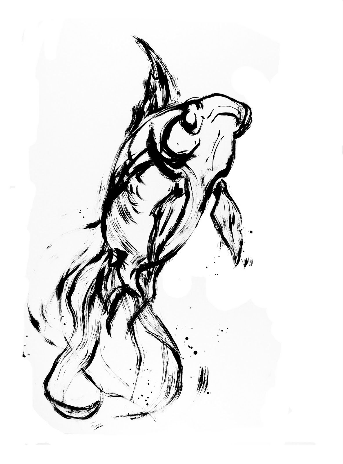 1183x1600 Reference Photos For Artists Fish