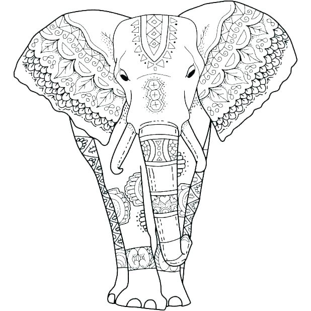 618x618 Coloring Pages Of Elephants The Elephant Coloring Page Elephant