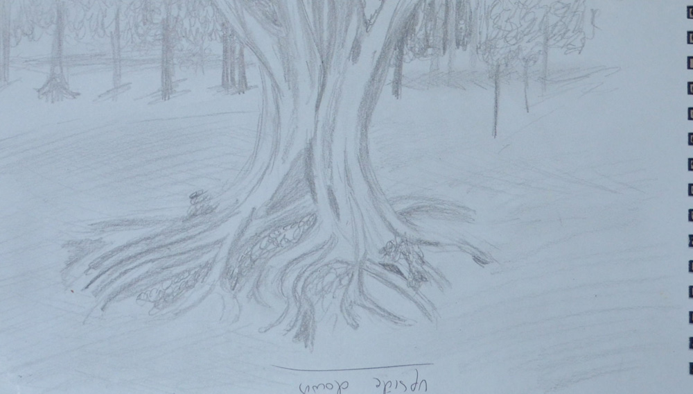 1000x568 Drawing Outdoors My Drawing Course