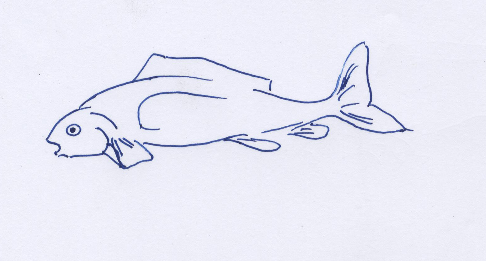 1554x834 Drawing And Illusion Chapter 5 Nature's Boundaries Of Wellbeing