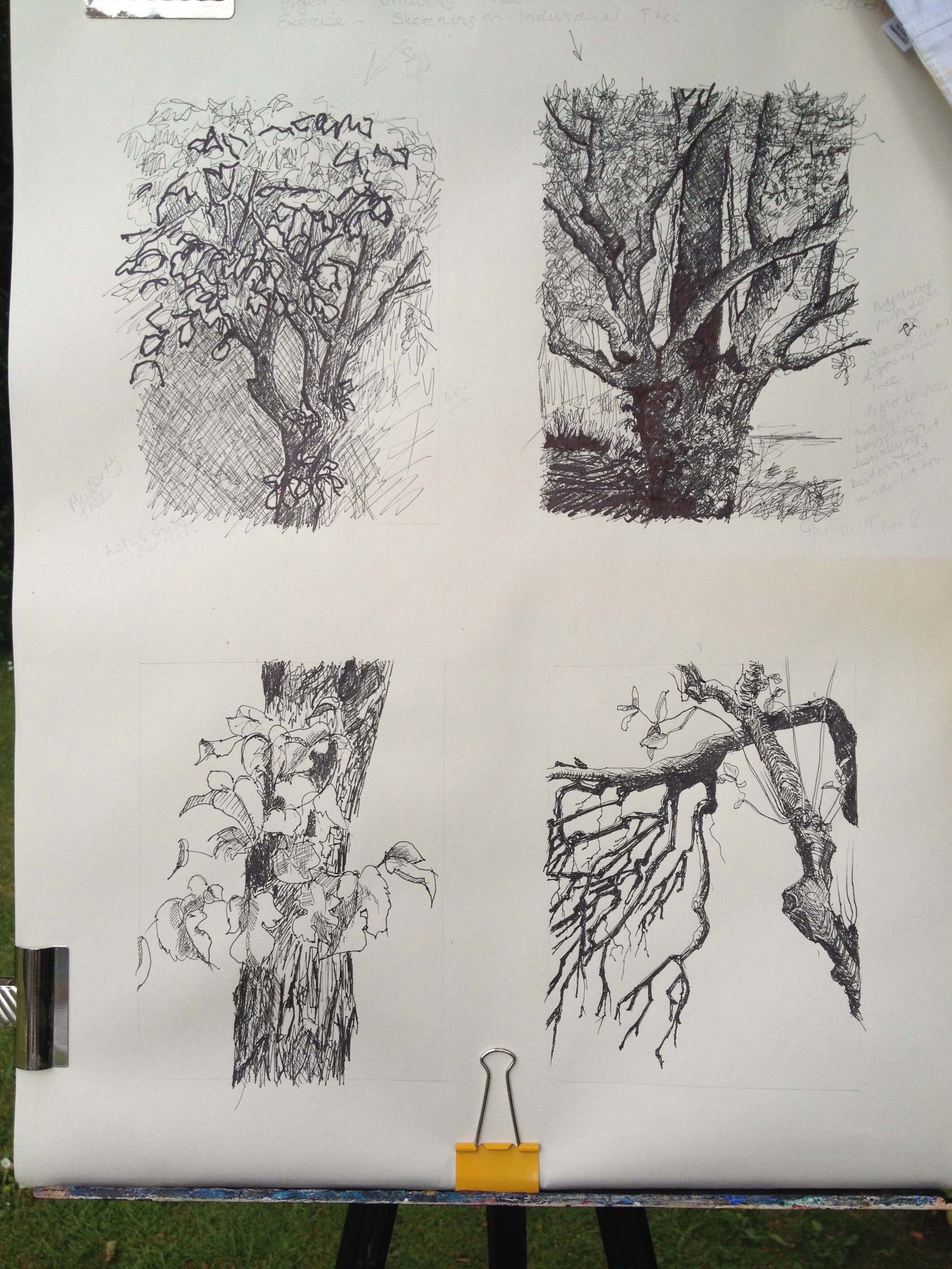 2448x3264 Exercises Part 3 Drawing Outdoors Ba (Hons) Degree Course