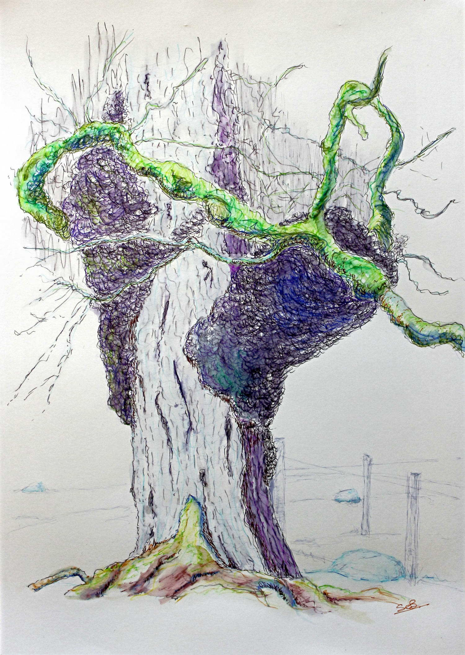 1500x2114 Part 3 Project 1 Exercise 2 Larger Observational Study