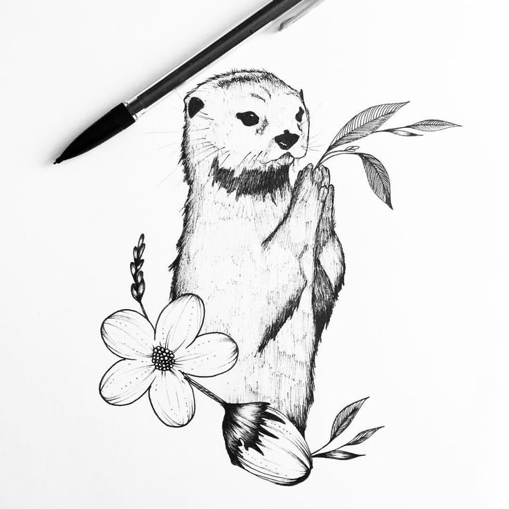736x736 The Best Nature Drawing Ideas Ink P On The Best Ballpoint Pen