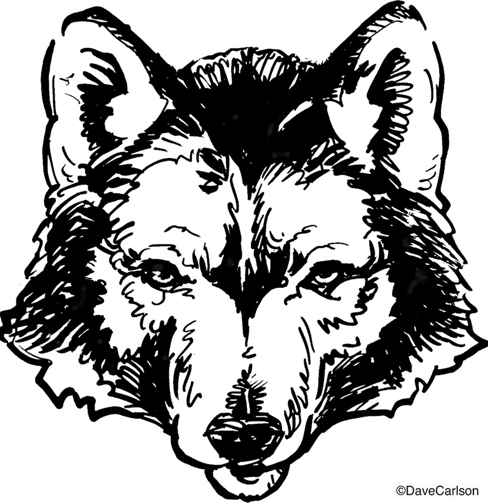 970x1000 Wolf Illustration