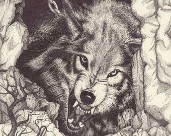 340x270 Pen And Ink Wolf Etsy Coloring Pages Wolf