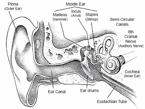 503x377 19 Best Pen Amp Ink Inspiration Images On Penne, Pens