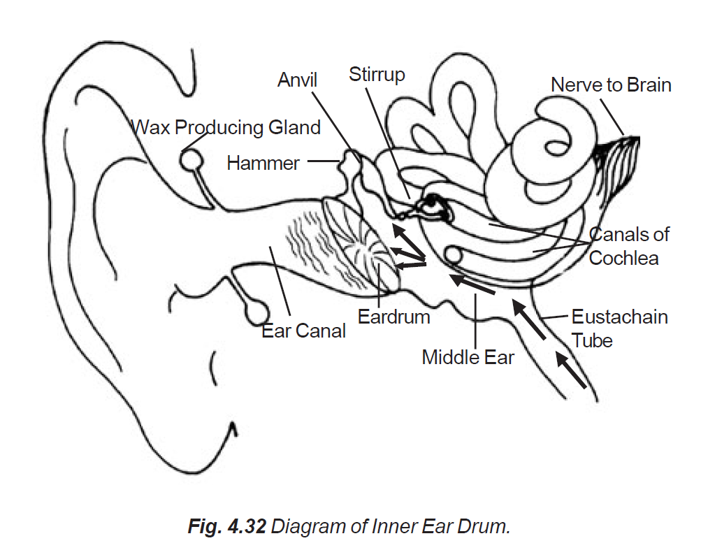 1013x787 Inner Ear Exercise 32 Learn Self Healing Techniques Online