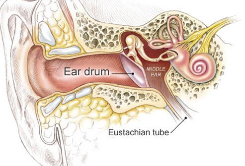 493x335 Ear Infection Symptoms, Causes, And Treatment