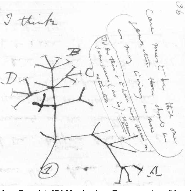 626x626 Creating Digital Traces Of Ideas Evaluation Of Computer Input