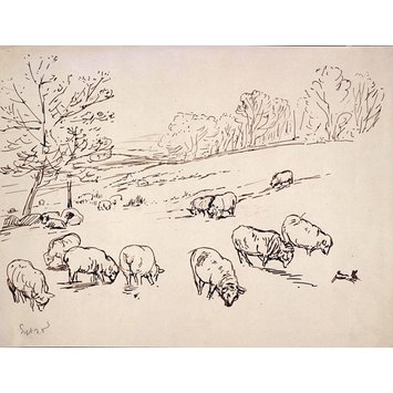 355x355 Sheep Grazing In A Field Potter, Beatrix Vampa Search