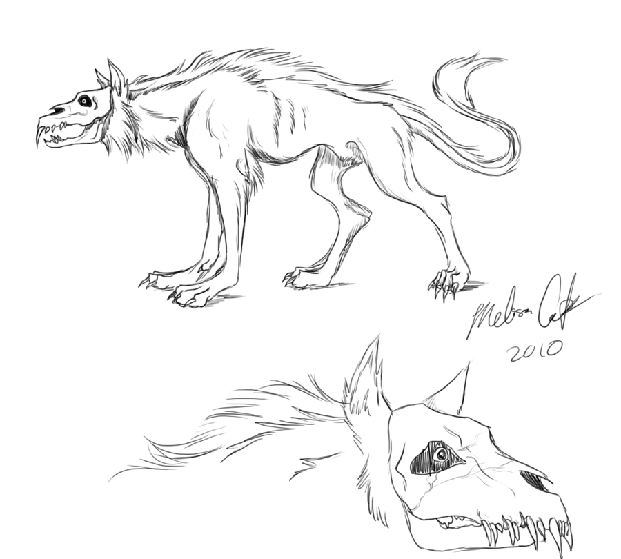 900x810 Jackal Sketch By The Weathered Raven