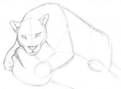 236x174 Draw A Jaguar, Step By Step, Drawing Sheets, Added By Finalprodigy