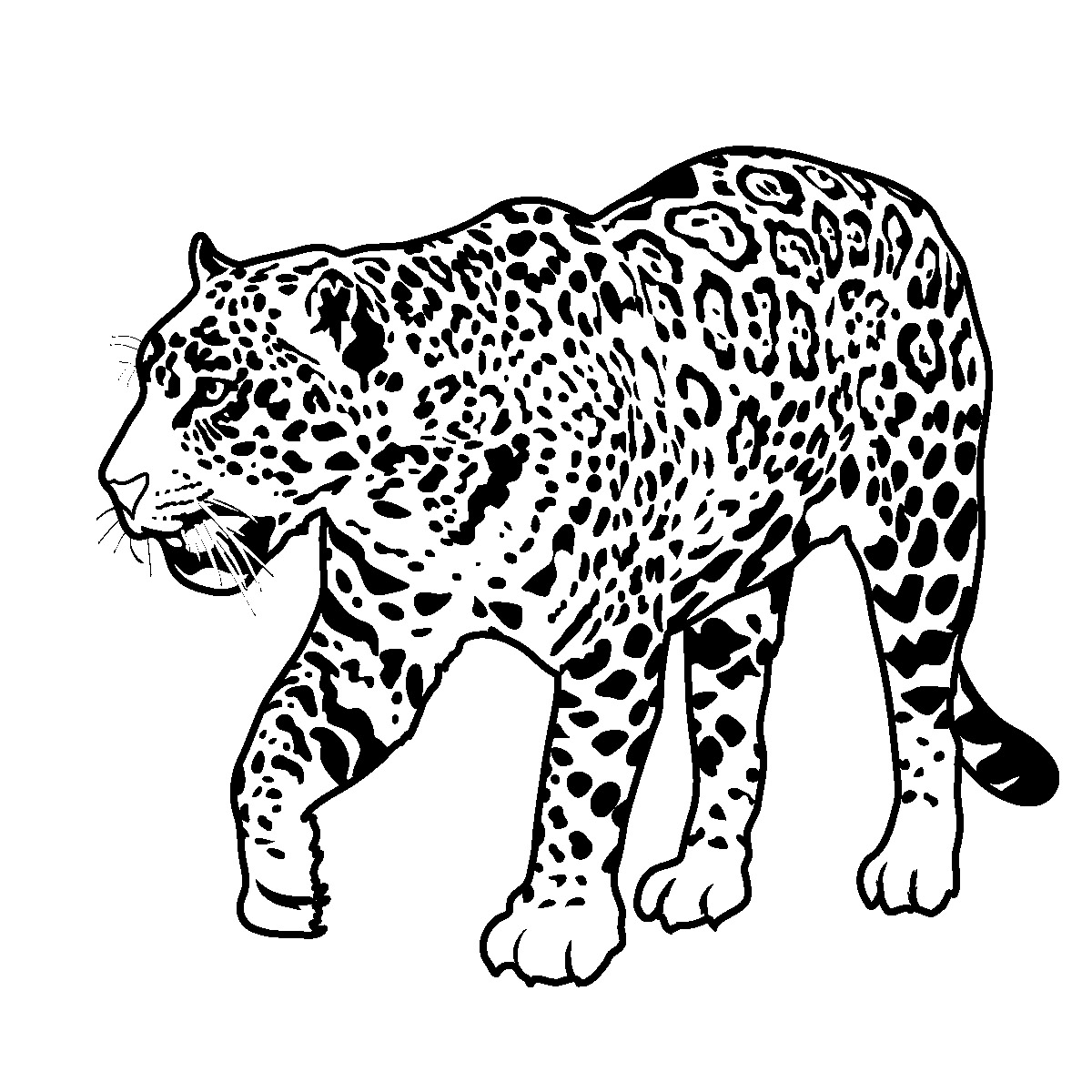 1200x1200 Jaguar Coloring Pages