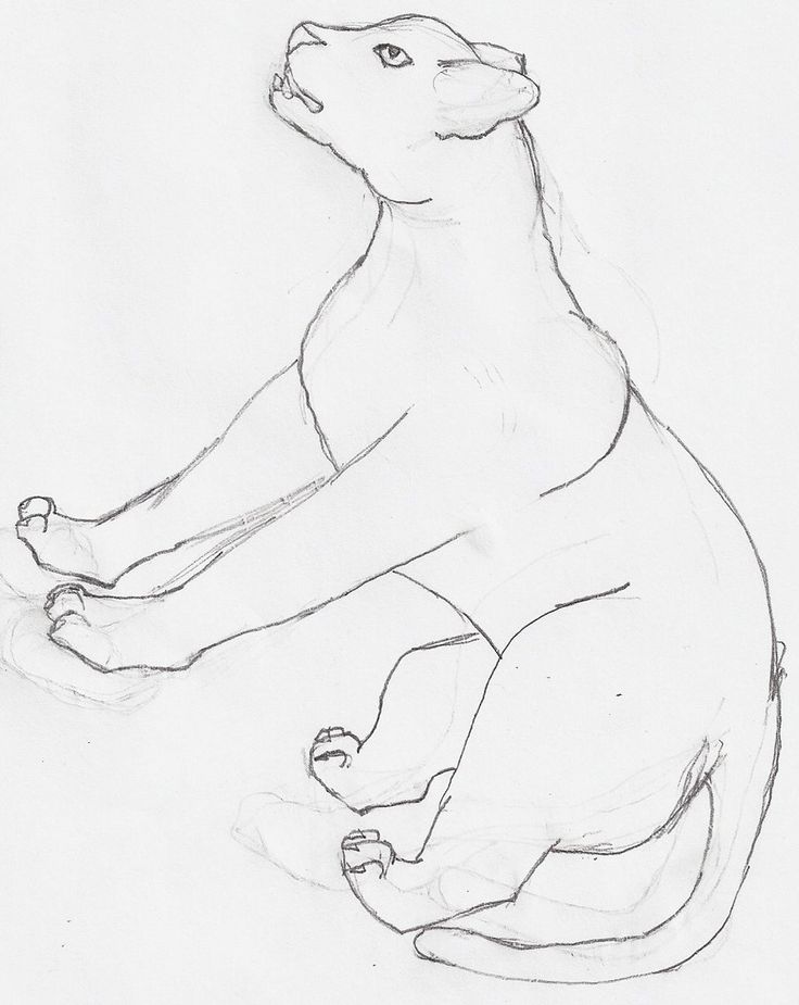 736x925 35 Best Pencil Sketch Drawings Images On Pencil