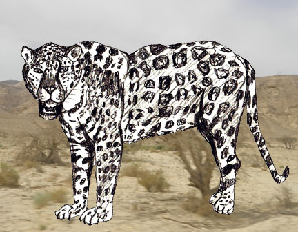 432x336 How To Draw A Jaguar