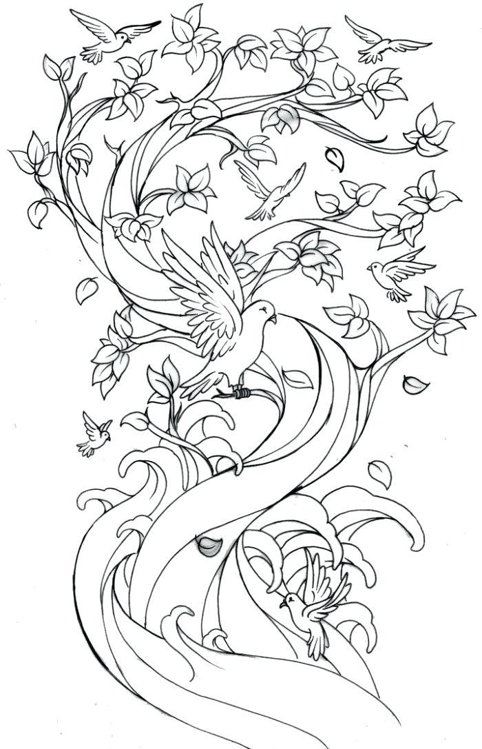 700x1087 Japanese Cherry Blossom Coloring Pages Devon Creamteas