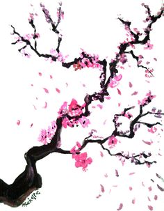 236x303 Cherry Blossom Deep Pink, Dusky Pink, Cheery, Black, White