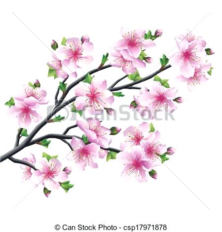 450x470 Japanese Cherry Blossom Drawing Japan Cherry Blossom Art Black