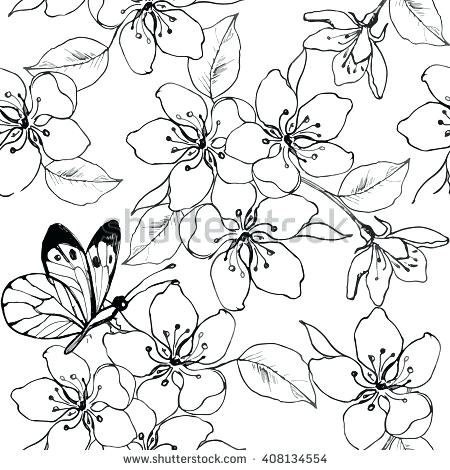 450x470 Cherry Blossom Tree Coloring Pages Japan Hello Kitty In Page