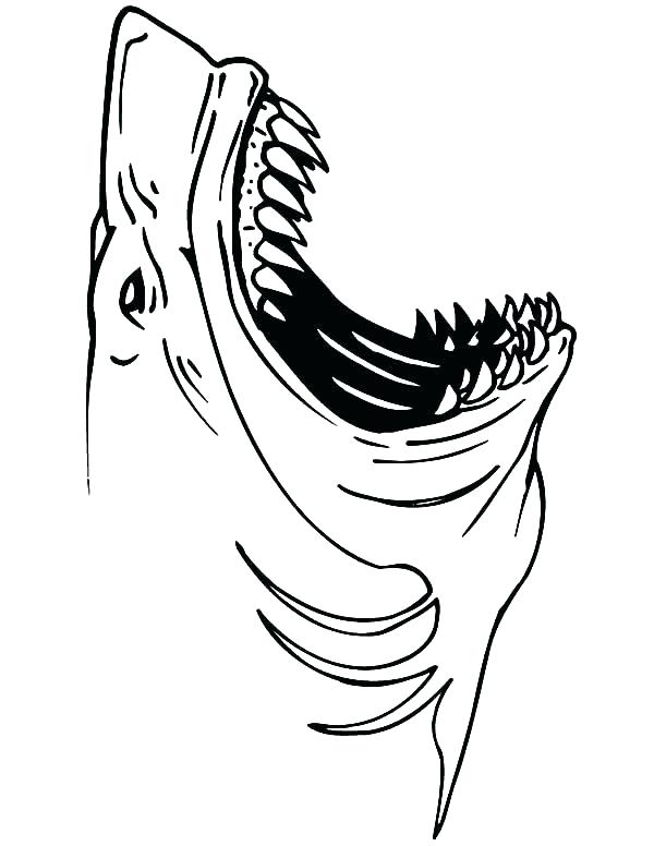 600x776 Jaws Coloring Pages Jaws Coloring Pages Drawing Jaws Coloring