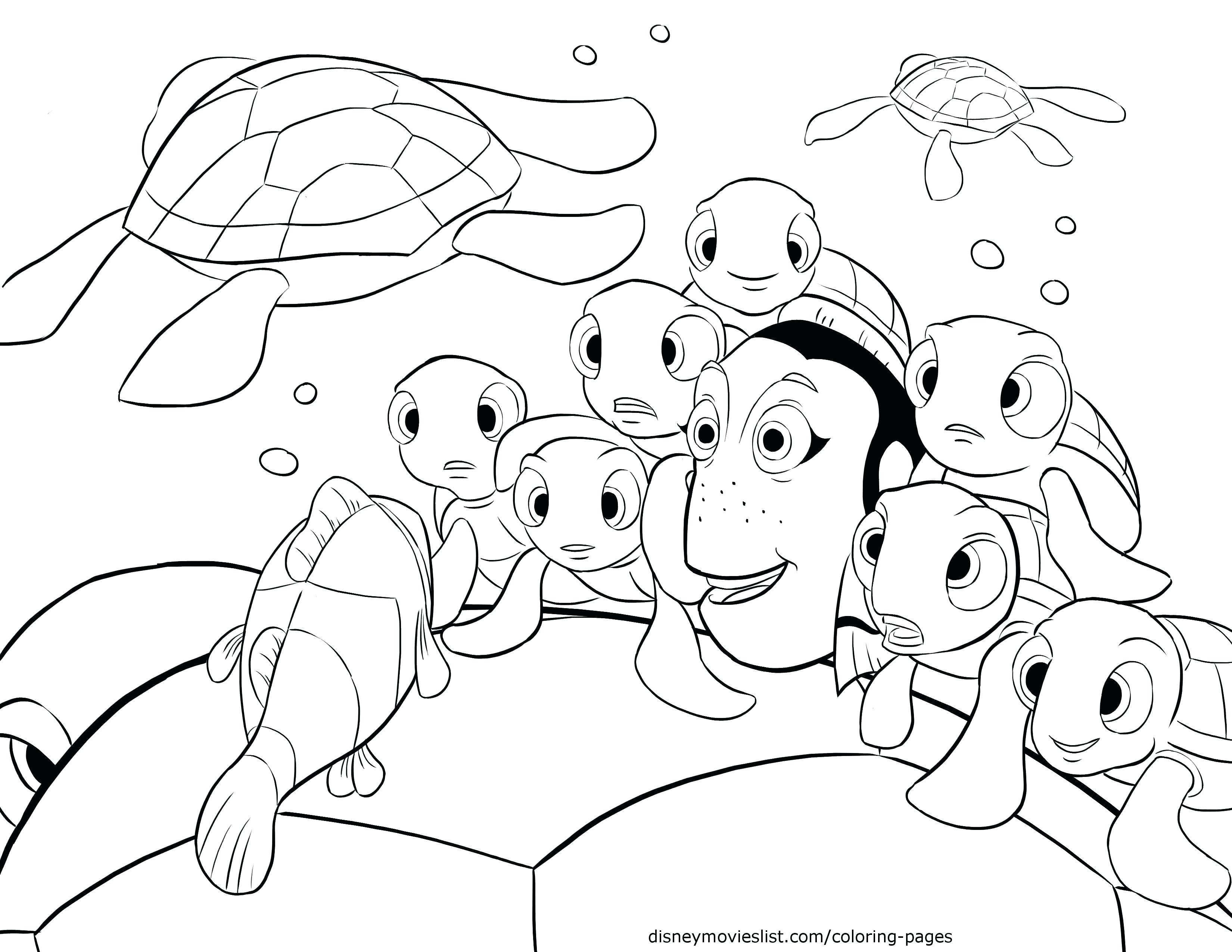 3300x2550 S Finding Crush Squirt Telling Stories Coloring Page Jellyfish