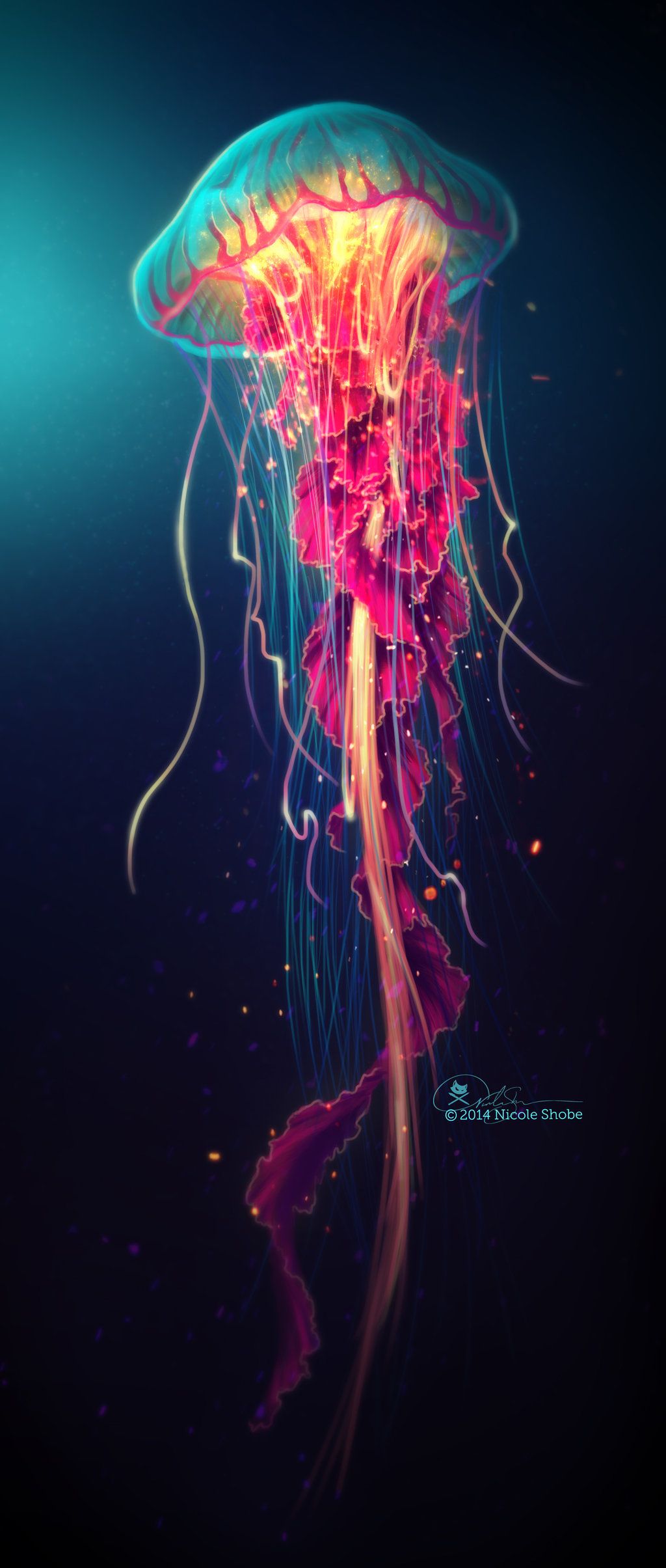 1024x2409 Jellyfish By Shobey1kanoby D7vm451.jpg Color Theory