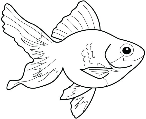 600x489 Fish Outline Drawing Coloring Picture Kids Fish Drawing