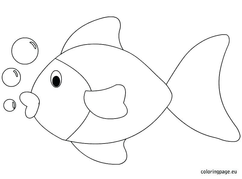804x595 Jelly Fish Coloring Page Jellyfish Attack A Fish Coloring Page