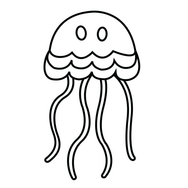 600x600 Jellyfish Animal Coloring Pages Coloring Page Jellyfish Animals