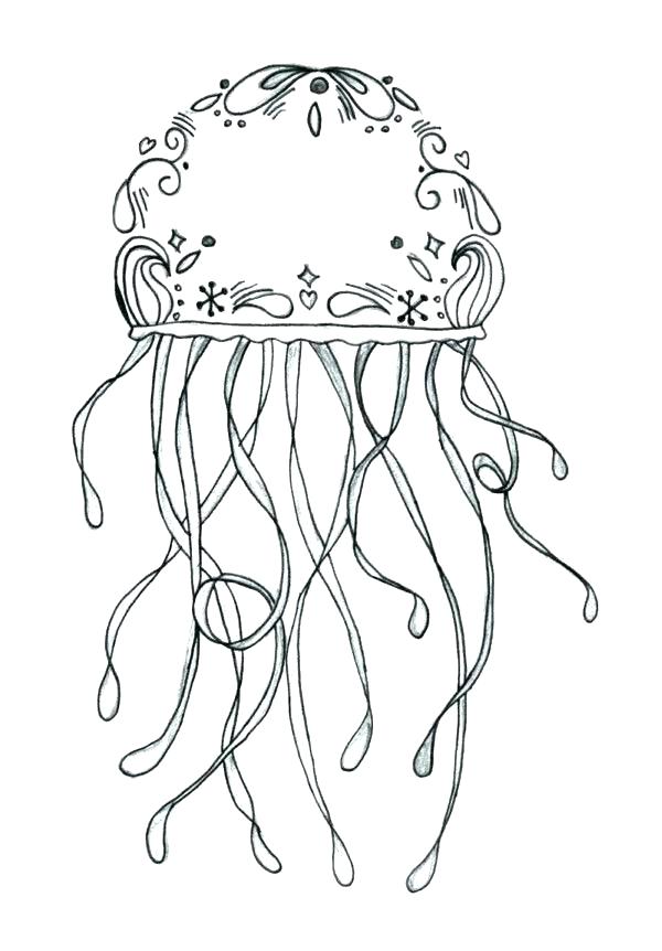 600x862 Jellyfish Coloring Page Jellyfish For Coloring Coloring Pages