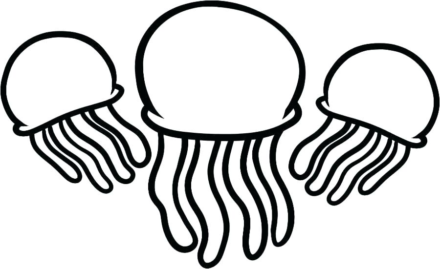 900x551 Coloring Pages For Kids To Print Jellyfish Line Art Page