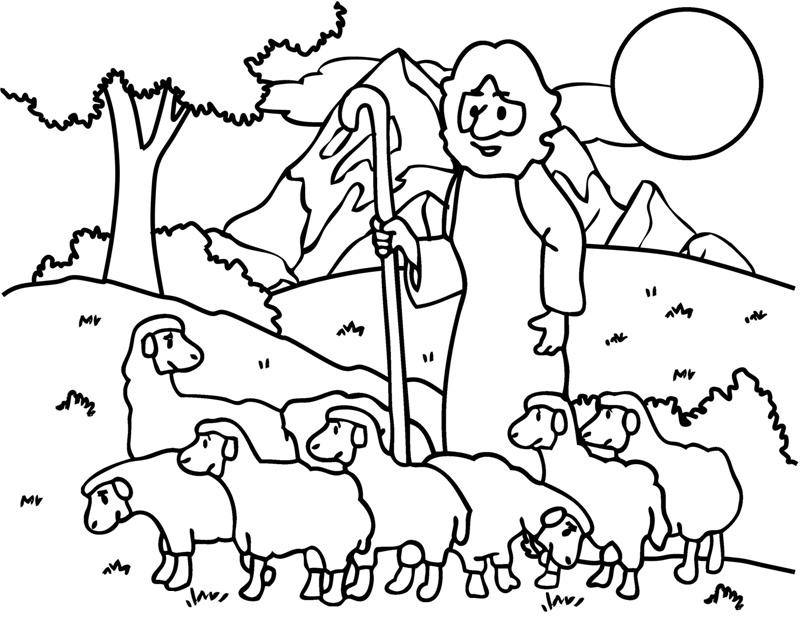 800x617 Lamb Drawing Kids. Affordable Printable With Lamb Drawing