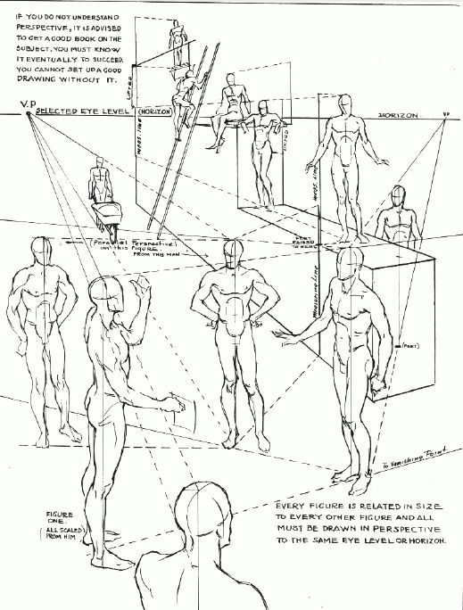 519x684 41 Best Andrew Loomissss Images On Faces, Andrew