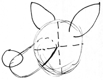 350x275 How To Draw Kangaroos And Baby Joey In Her Pouch Cartoon With Easy