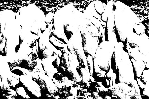 600x398 Joshua Tree Np