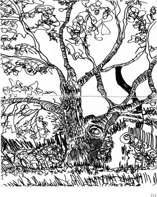 548x687 Texture Studies From Nature