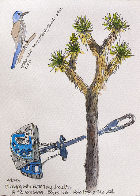 457x640 Stacy Creates Joshua Tree National Park