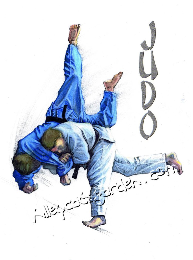 771x1036 Judo By Alleycatsgarden