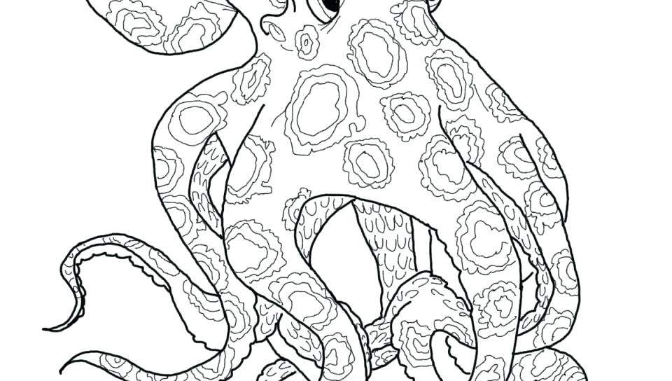 960x544 Coloring Pages ~ Realistic Octopus Coloring Page Pages Best